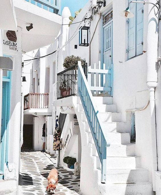 9f325dcd0871a6b45ebc6728e2b3ca8c